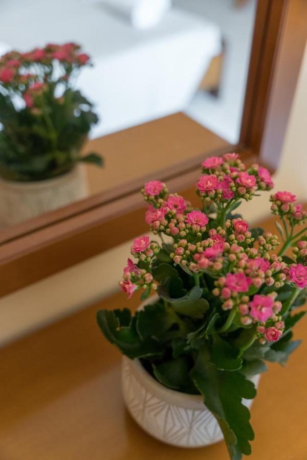 ליקסורי Ammousa Hotel Apartments מראה חיצוני תמונה